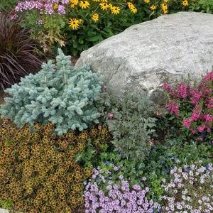 Any item $6 or less can be bundled for $3 an item!